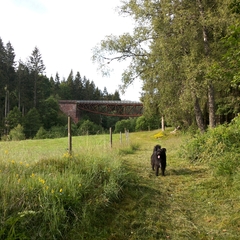 Urlaub im Schwarzwald (10)